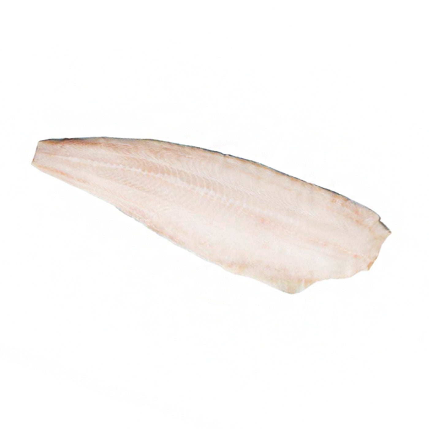 Coal Cod Fillet "Frozen" available in dubai